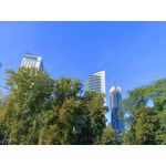 Zdjęcia użytkowników Oppo Reno 6 5G Zdjęcia użytkowników Oppo Reno 6 5G