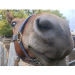 Zdjęcia użytkowników Oppo Reno Z