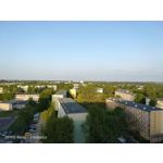 Zdjęcia użytkowników Oppo Reno