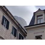 Zdjęcia użytkowników Oppo Reno10 Pro