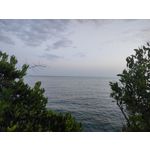 Zdjęcia użytkowników Oppo Reno10 Pro