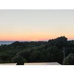 Zdjęcia użytkowników Oppo Reno10 Pro
