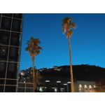 Zdjęcia użytkowników Oppo Reno10 Pro