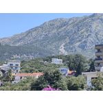 Zdjęcia użytkowników Oppo Reno10 Pro
