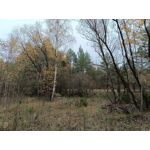 Zdjęcia użytkowników Oppo Reno10