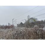 Zdjęcia użytkowników Oppo A6 Pro 5G CPH2781