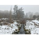 Zdjęcia użytkowników Oppo A6 Pro 5G CPH2781