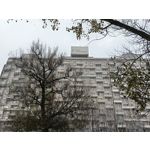 Zdjęcia użytkowników Oppo A6 Pro 5G CPH2781