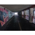 Zdjęcia użytkowników Oppo A6 Pro 5G CPH2781