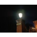 Zdjęcia użytkowników Oppo A6 Pro 5G CPH2781