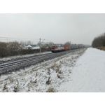 Zdjęcia użytkowników Oppo A6 Pro 5G CPH2781