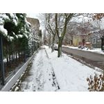 Zdjęcia użytkowników Oppo A6 Pro 5G CPH2781