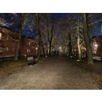 Zdjęcia użytkowników Oppo A6 Pro 5G CPH2781