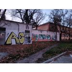 Zdjęcia użytkowników Oppo A6 Pro 5G CPH2781