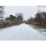 Zdjęcia użytkowników Oppo A6 Pro 5G CPH2781