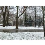 Zdjęcia użytkowników Oppo A6 Pro 5G CPH2781