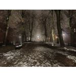 Zdjęcia użytkowników Oppo A6 Pro 5G CPH2781