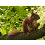 Zdjęcia użytkowników Oppo Find X8 Pro