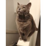 Zdjęcia użytkowników Oppo Find X8 Pro