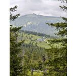 Zdjęcia użytkowników Oppo Find X8 Pro