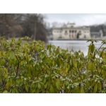 Zdjęcia użytkowników Oppo Find X8 Pro