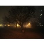 Zdjęcia użytkowników Oppo Find X8 Pro