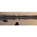 Zdjęcia użytkowników Oppo Find X8 Pro