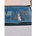 Zdjęcia użytkowników Oppo Find X8 Pro