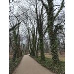 Zdjęcia użytkowników Oppo Find X8 Pro