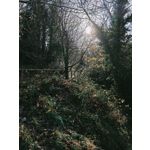 Zdjęcia użytkowników Oppo Find X8 Pro