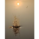 Zdjęcia użytkowników Oppo Find X8 Pro