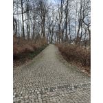 Zdjęcia użytkowników Oppo Find X8 Pro