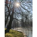 Zdjęcia użytkowników Oppo Find X8 Pro