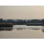 Zdjęcia użytkowników Oppo Find X8 Pro