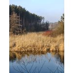 Zdjęcia użytkowników Oppo Find X8 Pro