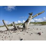 ZDJĘCIA Z TEGO TELEFONU