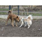 Zdjęcia użytkowników Oppo Find X8 Pro