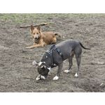 Zdjęcia użytkowników Oppo Find X8 Pro