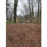 Zdjęcia użytkowników Oppo Find X8 Pro