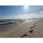 Zdjęcia użytkowników Oppo Find X8 Pro