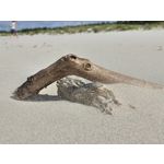 ZDJĘCIA Z TEGO TELEFONU