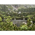 Zdjęcia użytkowników Oppo Find X8 Pro