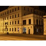 Zdjęcia użytkowników Oppo Reno12 Pro CPH2629