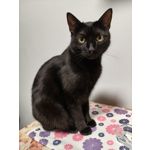 ZDJĘCIA Z TEGO TELEFONU