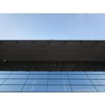 Zdjęcia użytkowników Oppo Reno15 Pro 5G