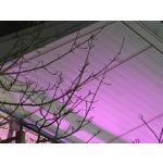 Zdjęcia użytkowników Oppo Reno15 Pro 5G