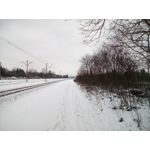 Zdjęcia użytkowników Oukitel K10000