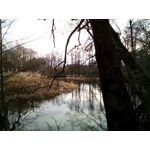 Zdjęcia użytkowników Oukitel K10000