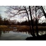 Zdjęcia użytkowników Oukitel K10000