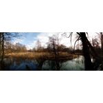 Zdjęcia użytkowników Oukitel K10000